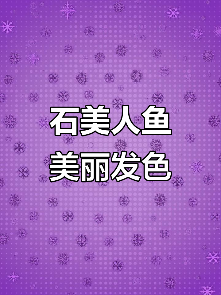 石美人鱼完美发色,热带鱼的魅力与爱情故事