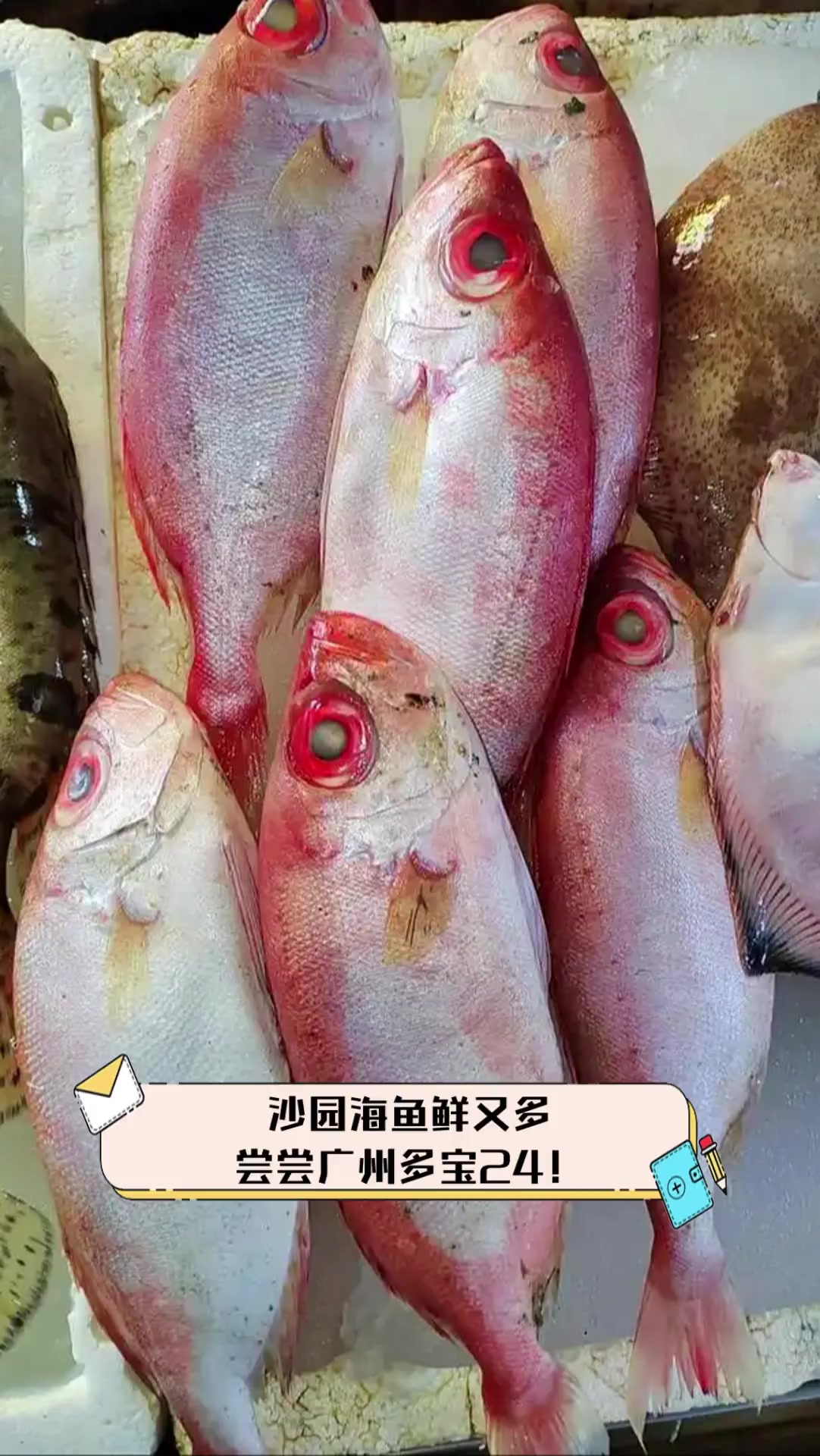 沙园海鱼鲜又多,尝尝广州多宝24!
