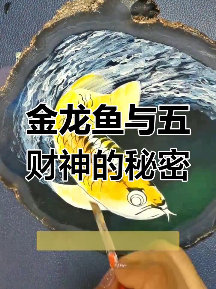 画金龙鱼,迎接五财神降临!财运滚滚来