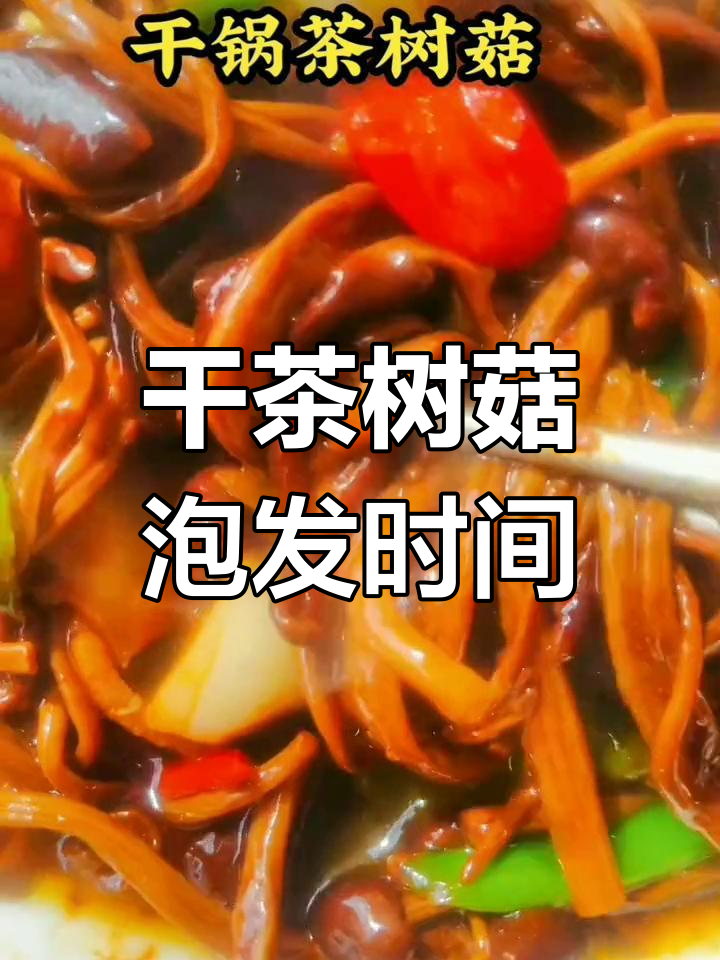 干茶树菇泡多久才能炒出美味?