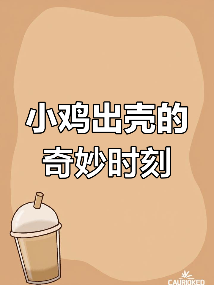 鸡妈妈如何孵蛋?小鸡破壳全过程大揭秘