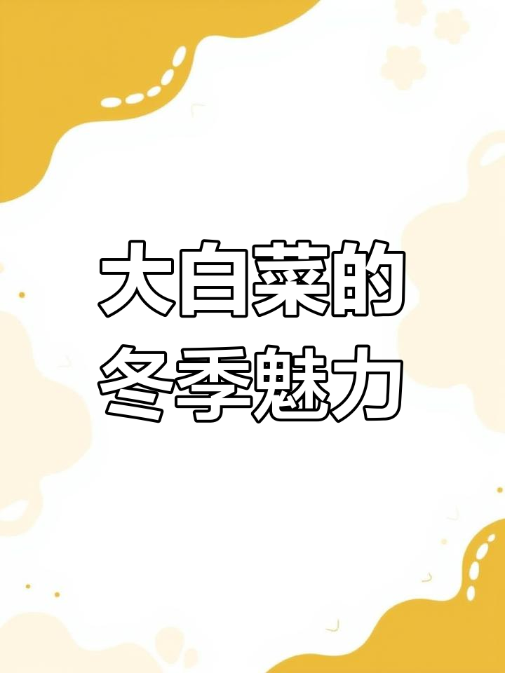 冬日大白菜,清白奉献