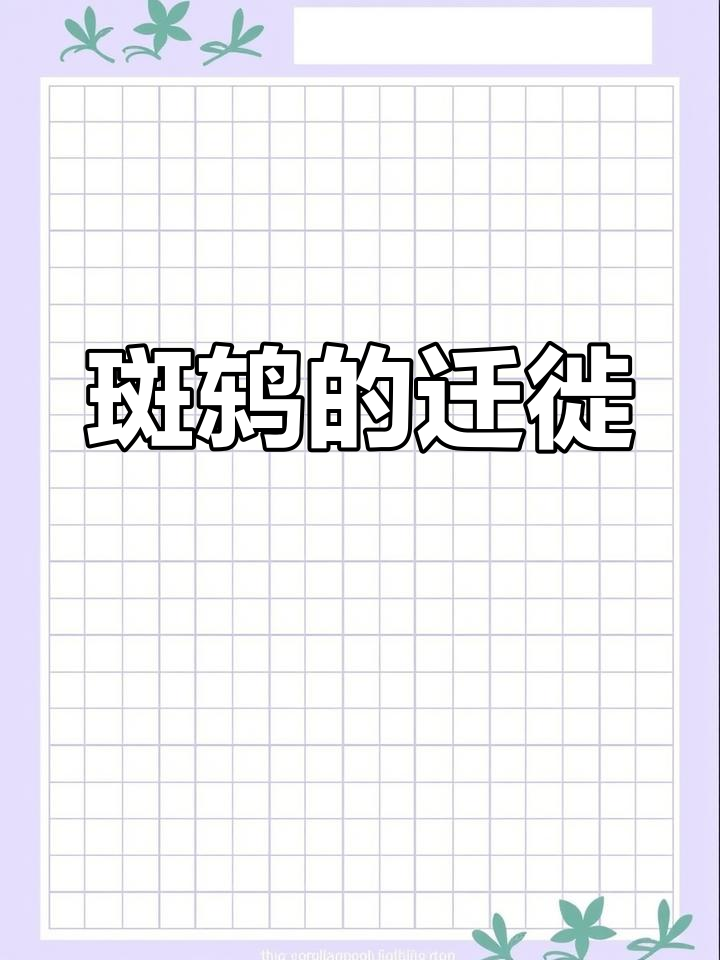 斑鸫,迁徙时成群结队,以昆虫为食