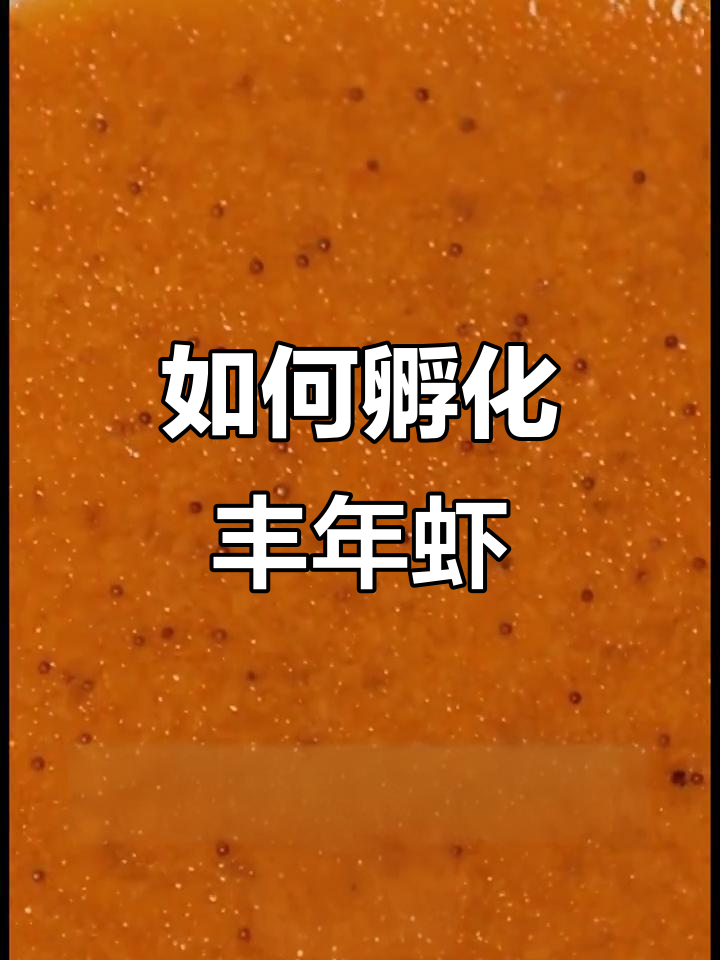 丰年虾孵化全攻略:如何让蜂莲虾卵成功孵出?