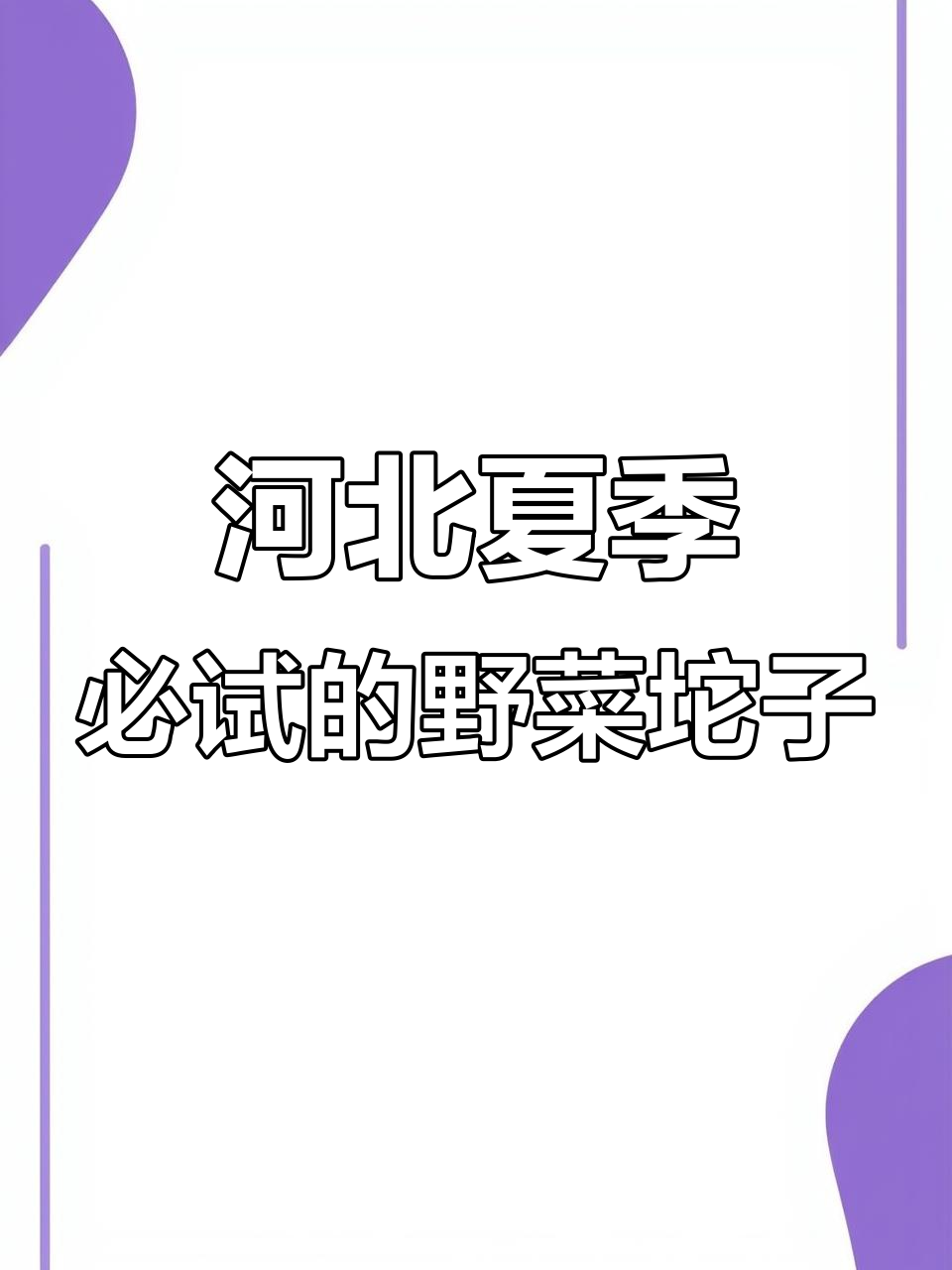 河北独特野菜坨子,夏日必备美味新吃法