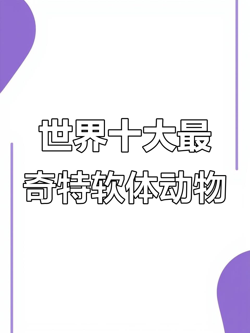世界上最丑的软体动物,章鱼竟是最聪明的!