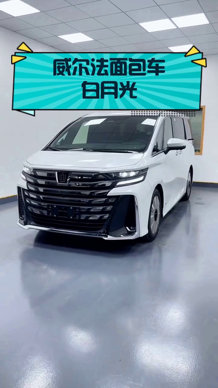 威尔法面包车白月光