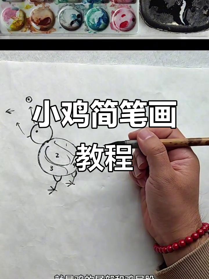 画小鸡的简单步骤，轻松学会