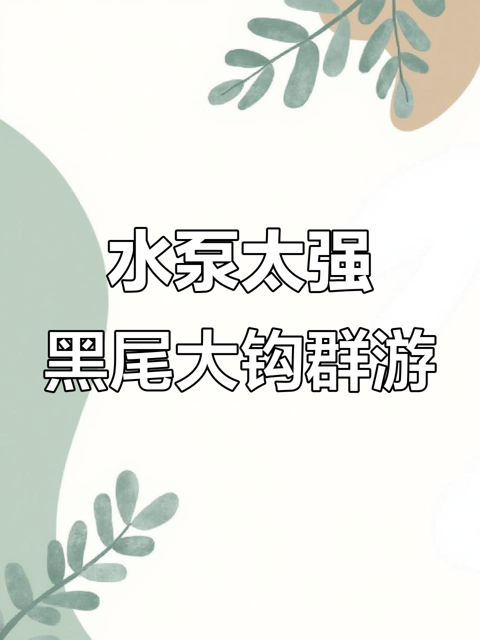 黑尾大钩吃得太多，水泵力道太大让鱼缸变乱