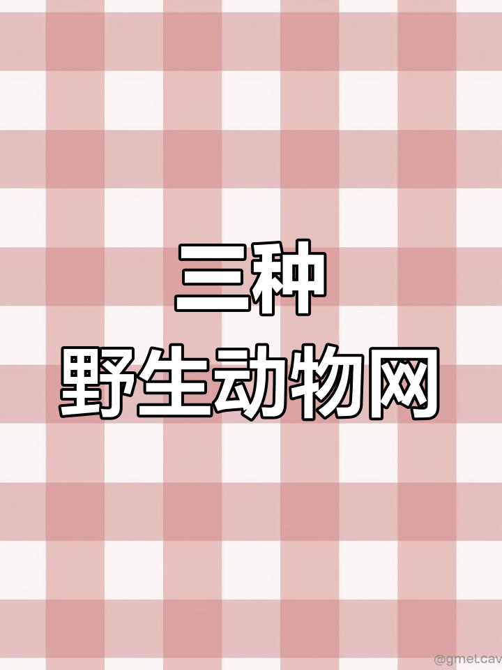 野鸡、兔网与斑鸠网的联系
