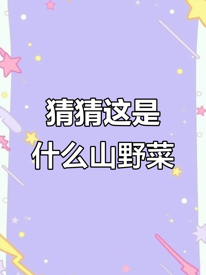 东北山野菜大揭秘,这到底是什么宝贝?