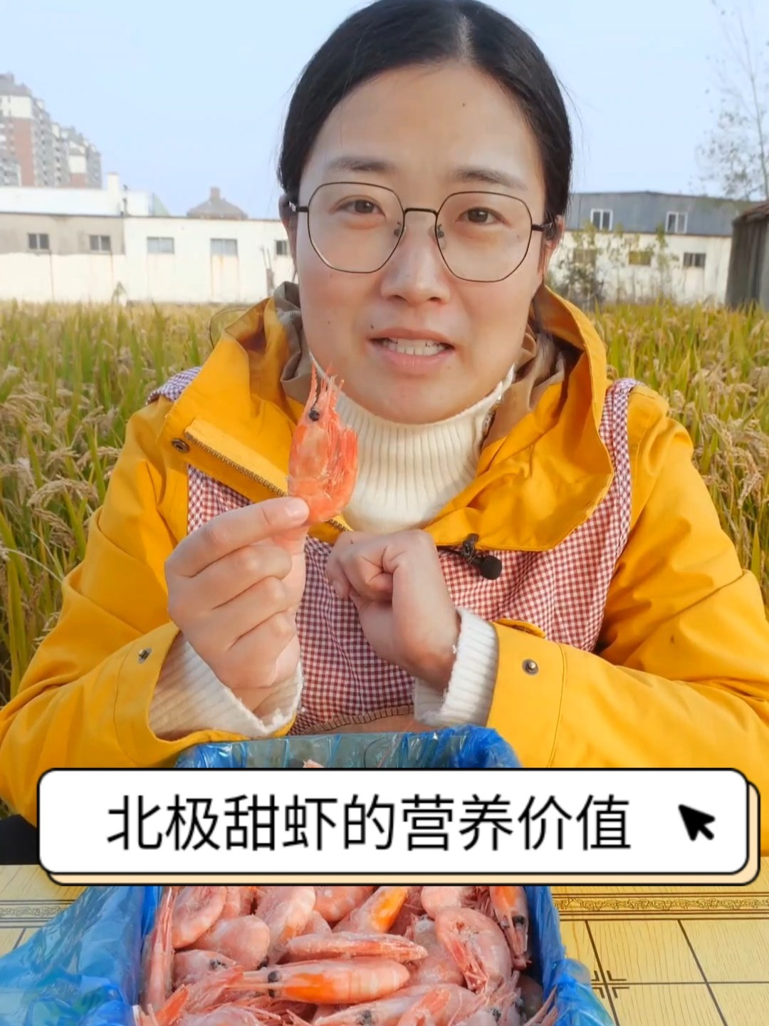 野生小型虾,北极甜虾的营养价值你知道吗?