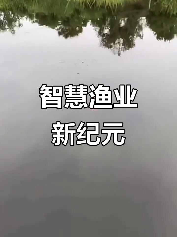 智能渔具,精准探测鱼群,轻松捕捞,深海湖泊皆能应对