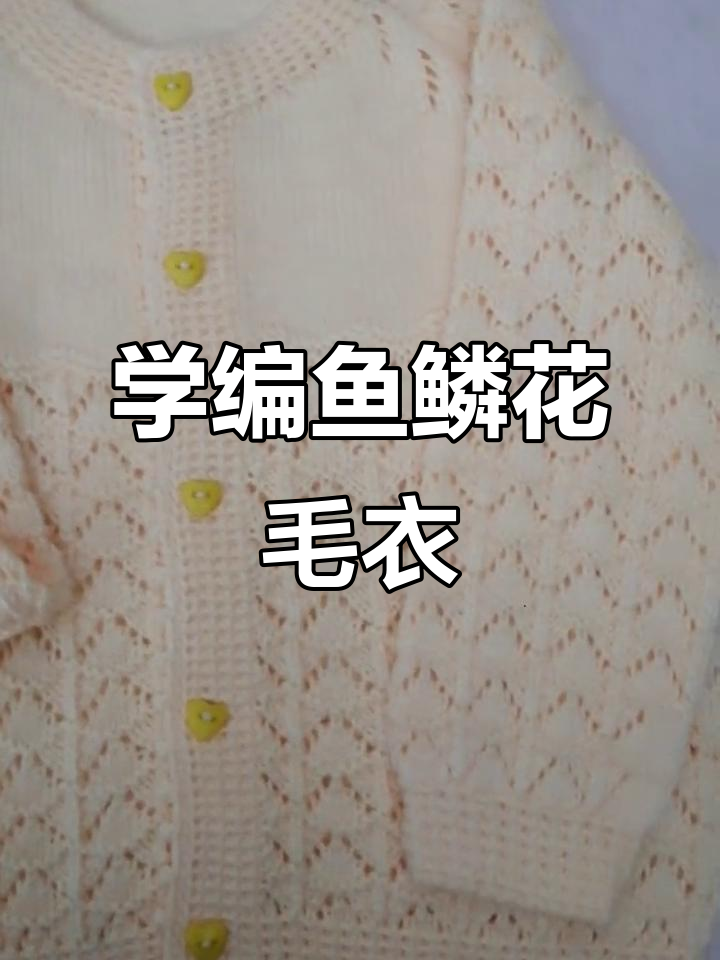 鱼鳞花宝宝毛衣编织课程，两岁三岁都能学