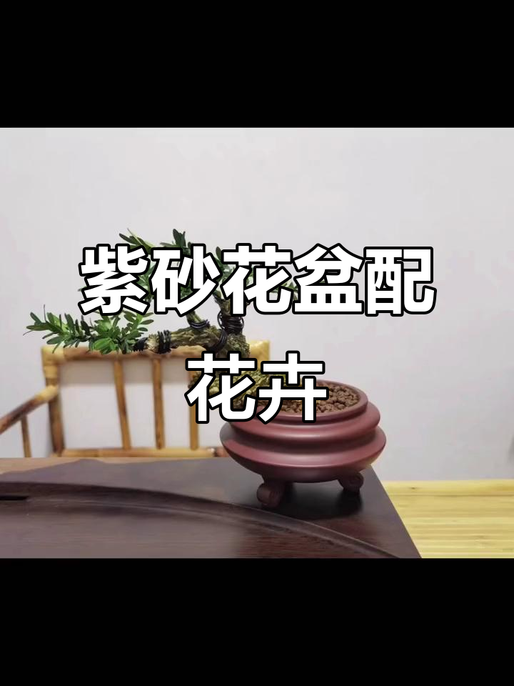 紫砂花盆与花卉绿植的完美搭配,打造独特盆景风格