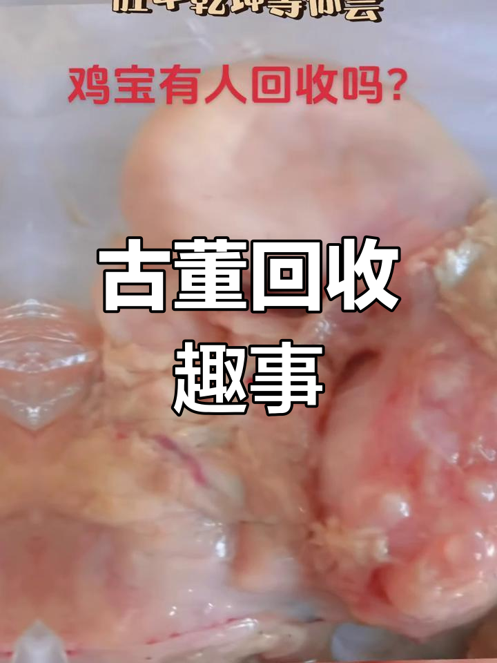 古董回收与鸡宝的奇妙之旅