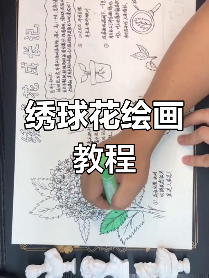 绣球花自然笔记绘制技巧
