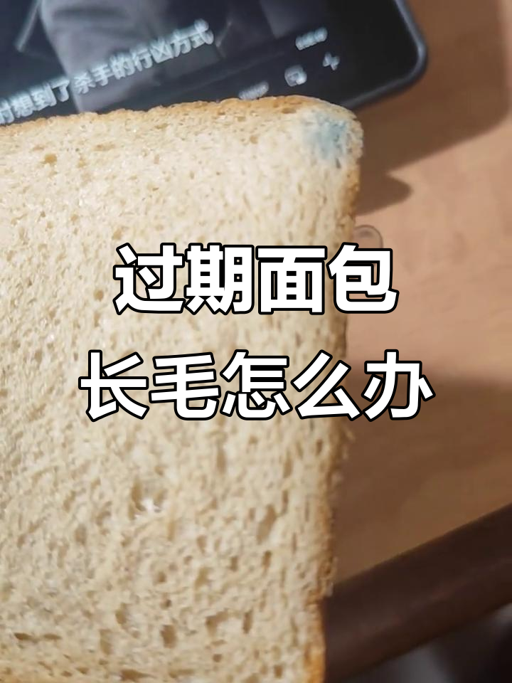 留学生误食过期吐司,竟然发现它已经发霉!