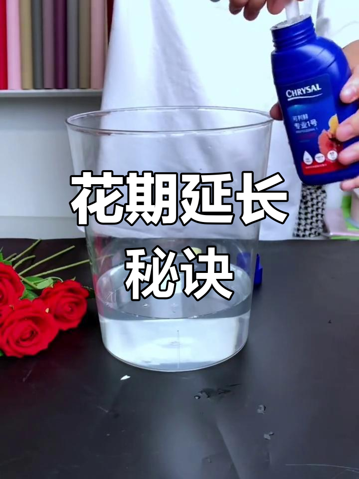 延长花期,鲜花保鲜必备营养液
