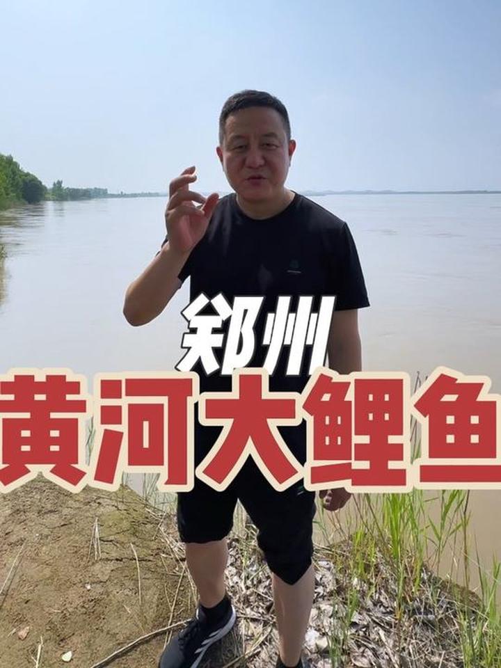 郑州黄河边上，吃一个信阳老乡做的红烧鲤鱼