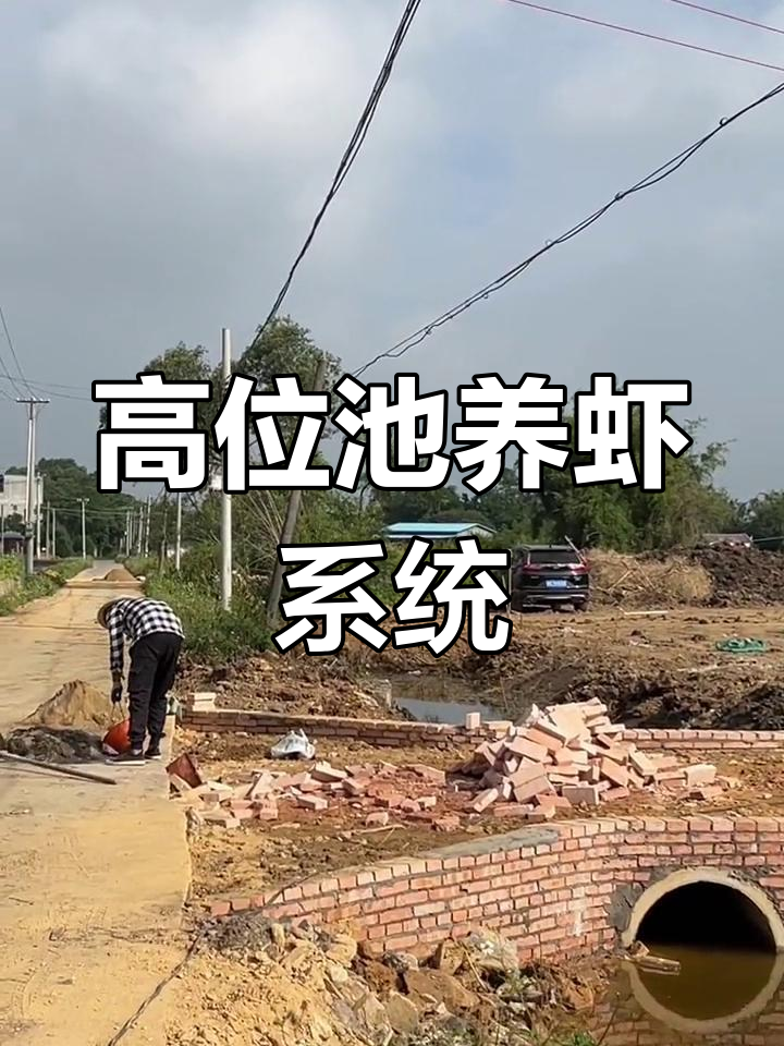 高位池养殖模式:零排放与高效生产