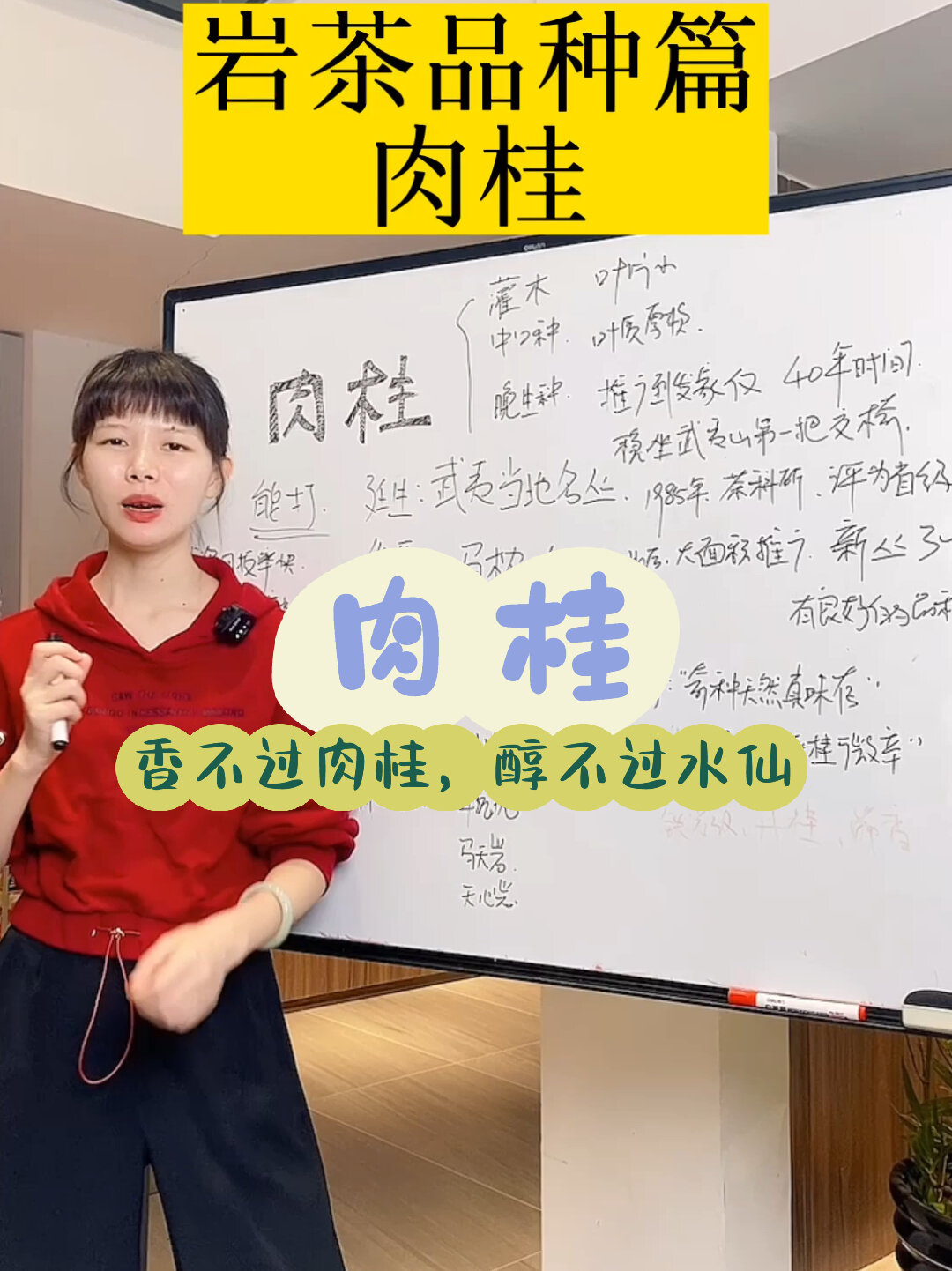 岩茶品种篇|肉桂,一个非常抗打的品种!