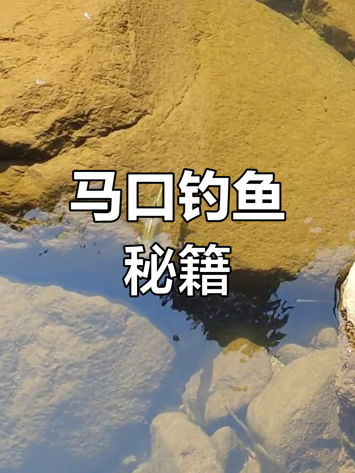 远离城市,寻找马口栖息地!溪流钓技巧大公开