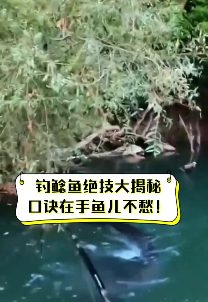 钓鲶鱼绝技大揭秘,口诀在手鱼儿不愁!