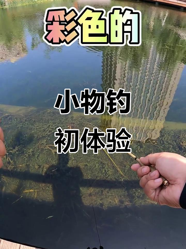第一次尝试小物钓，彩色的鱼儿让我惊喜连连