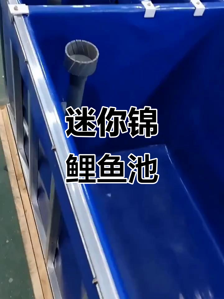 小型锦鲤鱼池，阳台必备！三仓设计让养鱼更轻松