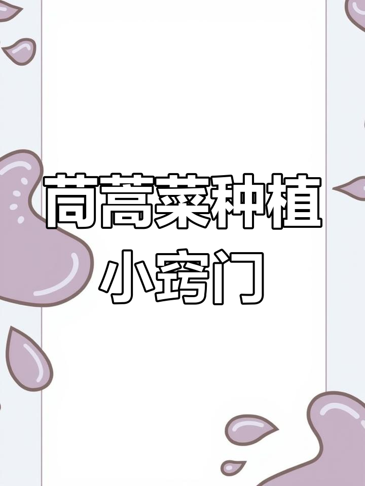 茼蒿菜种植技巧大揭秘,皇帝菜的秘密