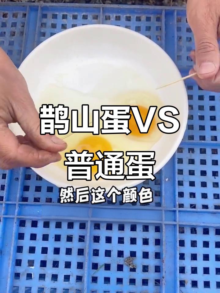 鹊山鸡蛋与普通鸡蛋的差别,营养更丰富