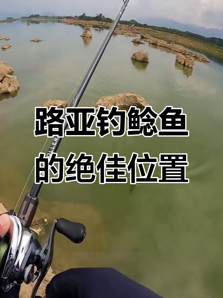 鲶鱼藏身石块结构,路亚钓点大揭秘