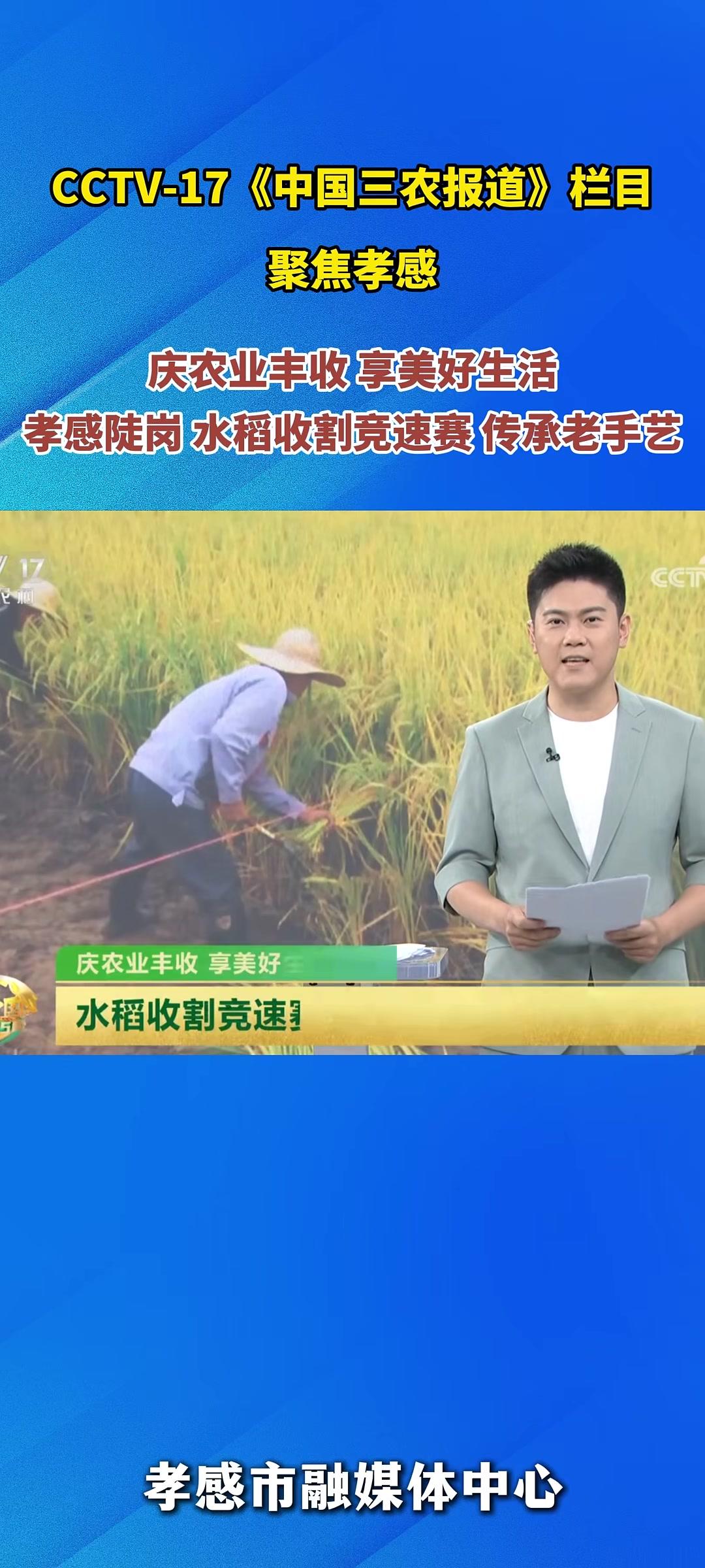 CCTV-17《中国三农报道》栏目聚焦孝感播出《湖北孝感:水稻收割竞速赛传承老手艺》孝感 