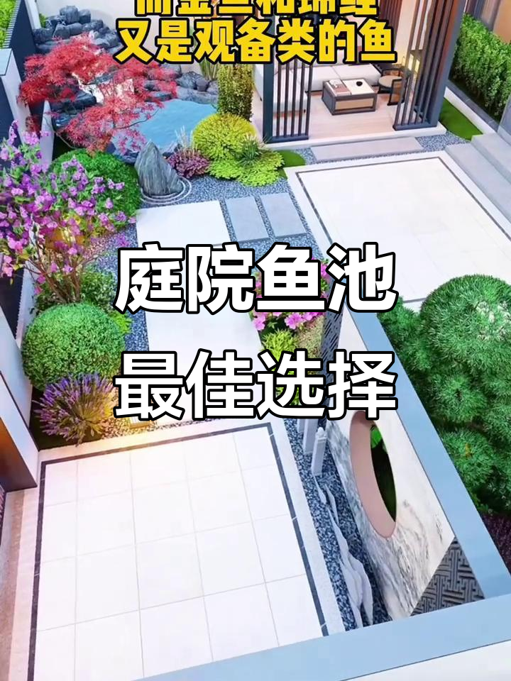 庭院鱼池适合养什么?金鱼和锦鲤最合适