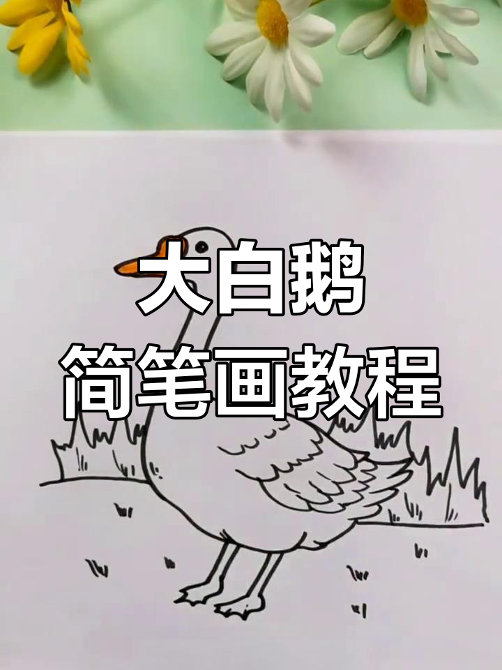 简单步骤教你画大白鹅，轻松学会！