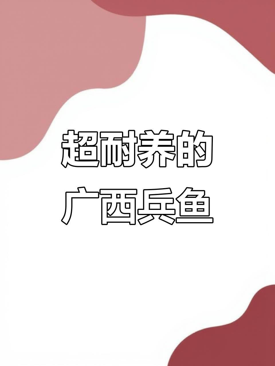 广西兵鱼:生命力超强,新手也能轻松养