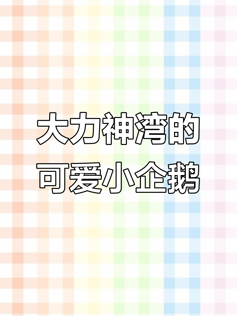 马克罗尼企鹅戴皇冠,大力神湾里的萌宠