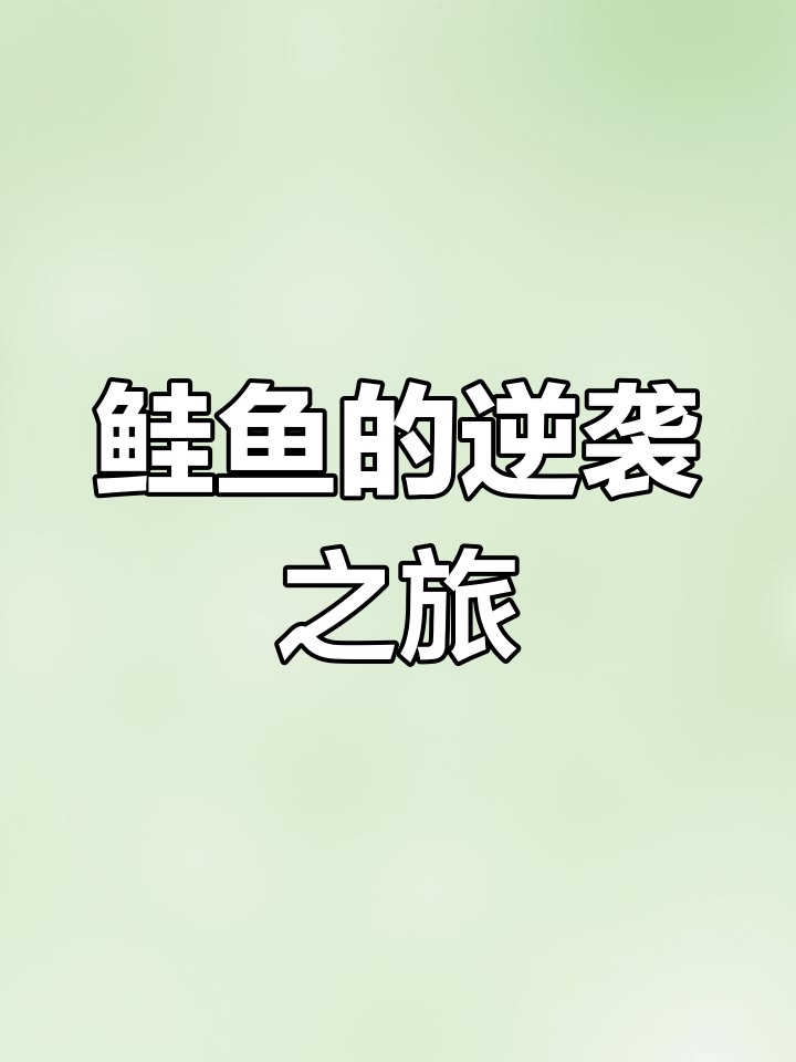鲑鱼洄游:生命的奇迹与挑战