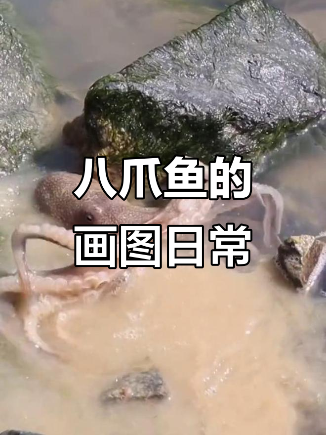 八爪鱼:我太难了!每天都在画画,而不是看漫画