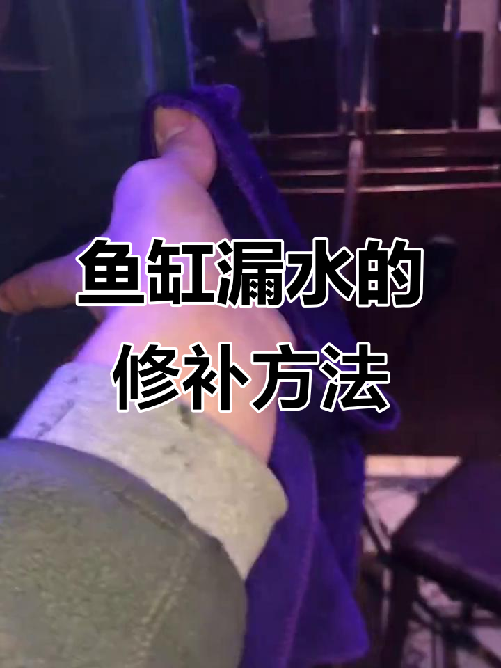 鱼缸漏水打胶修复,简单操作搞定问题