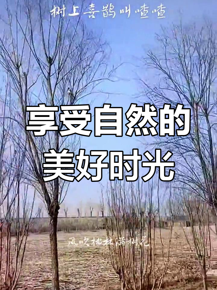 杨国福麻辣烫自曝身份,信阳老味道传承人
