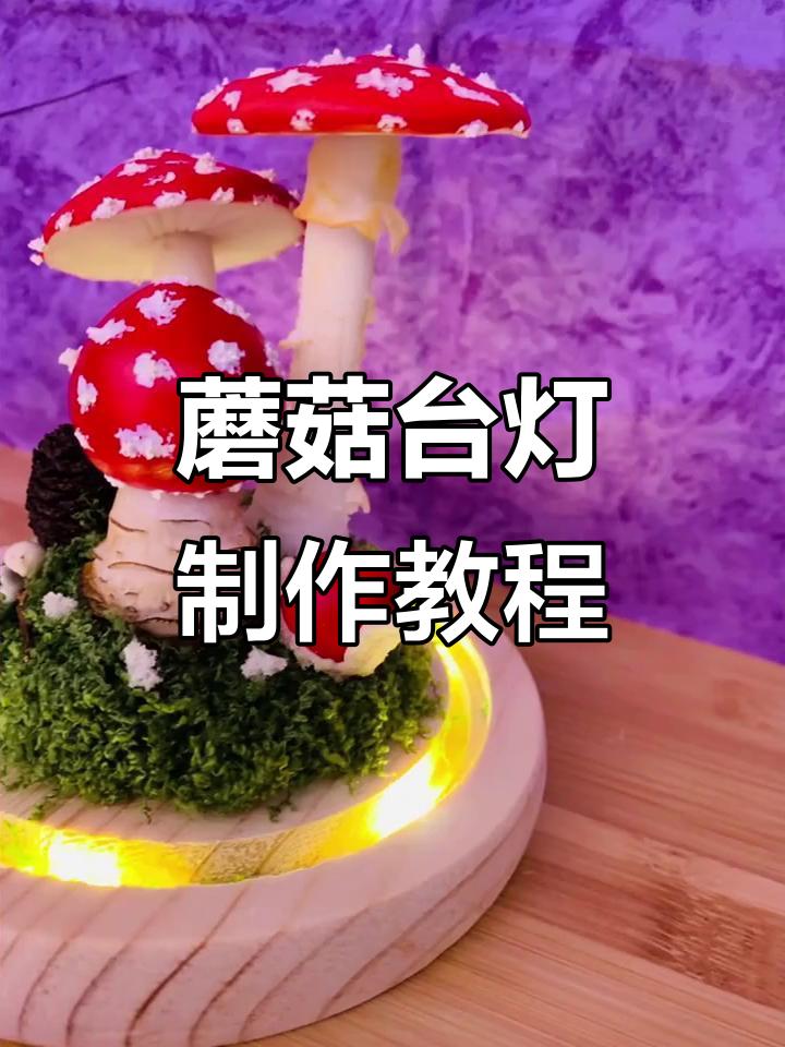 用蘑菇打造创意台灯,手工DIY微景观