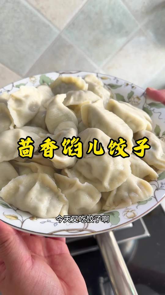 动手做美食，你爱吃茴香馅饺子吗？