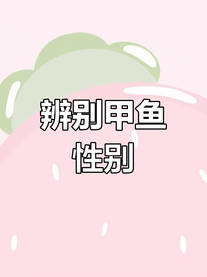 如何分辨甲鱼公母