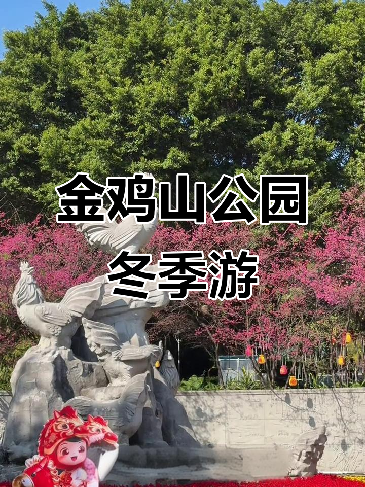 福州金鸡山公园冬日美景，梅花与瀑布相伴