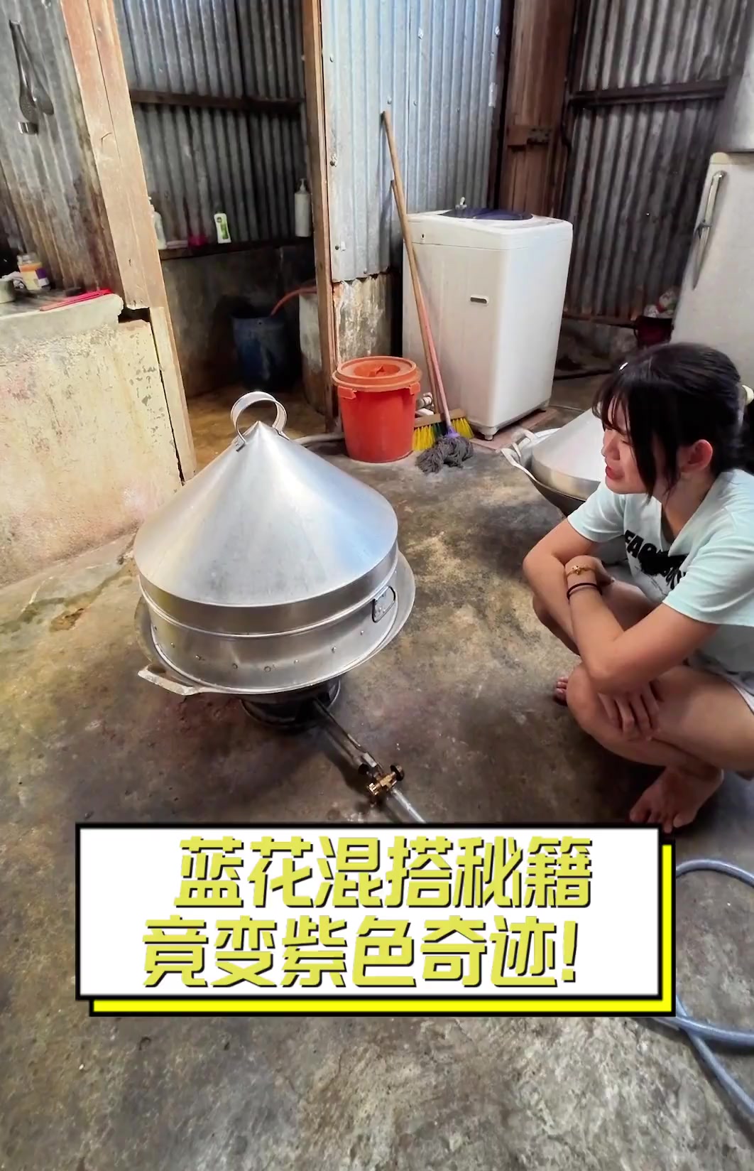 蓝花混搭秘籍,竟变紫色奇迹!