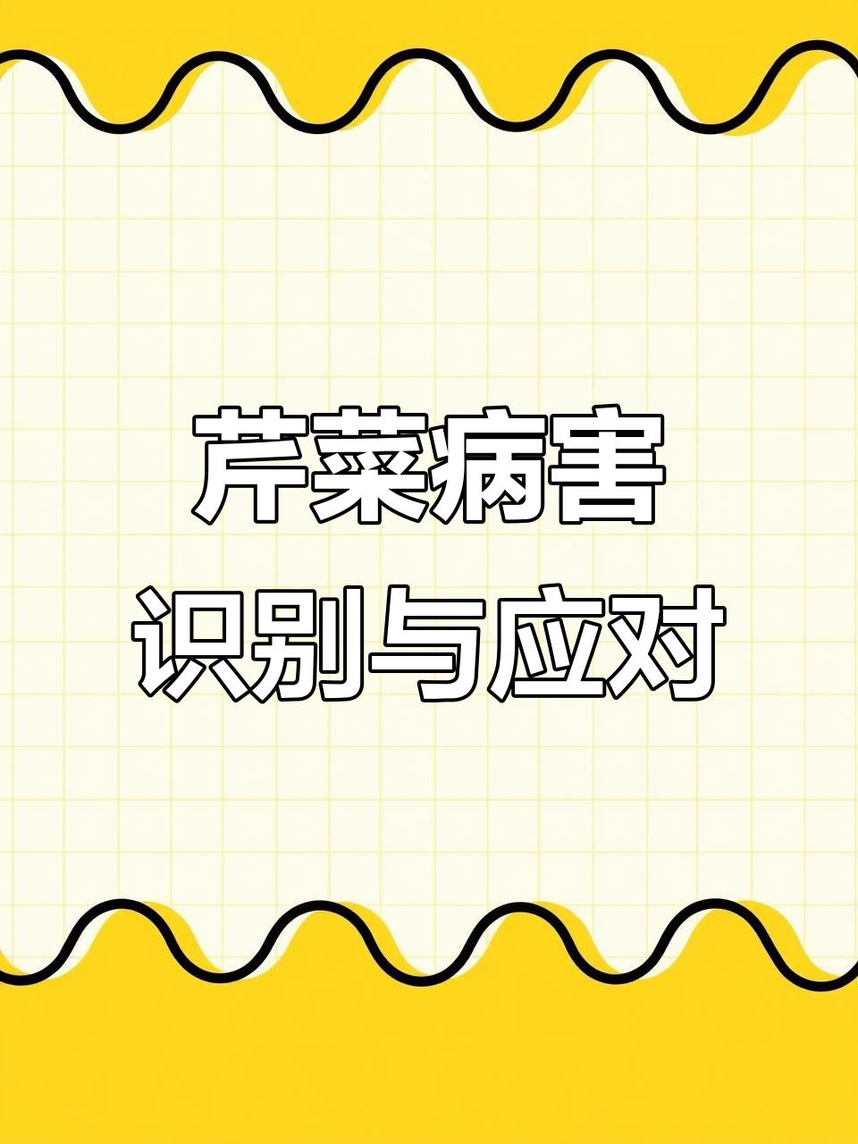 芹菜种植常见病虫害防治全攻略，轻松掌握诊断技巧