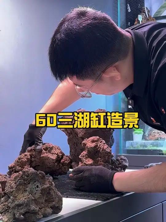 60三湖慈鲷造景