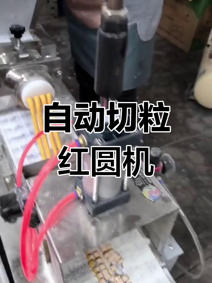 高效红圆机,潮汕汤圆生产利器